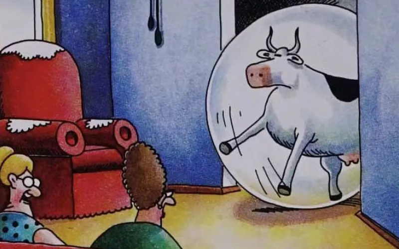 Die 10 lustigsten The Far Side Comics mit Kühen im Fokus