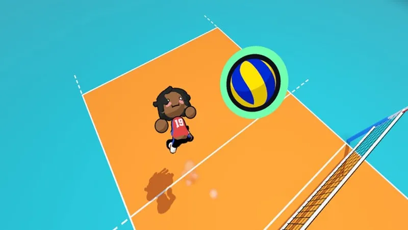 Die Zukunft des Sportsspiels heisst just volleyball