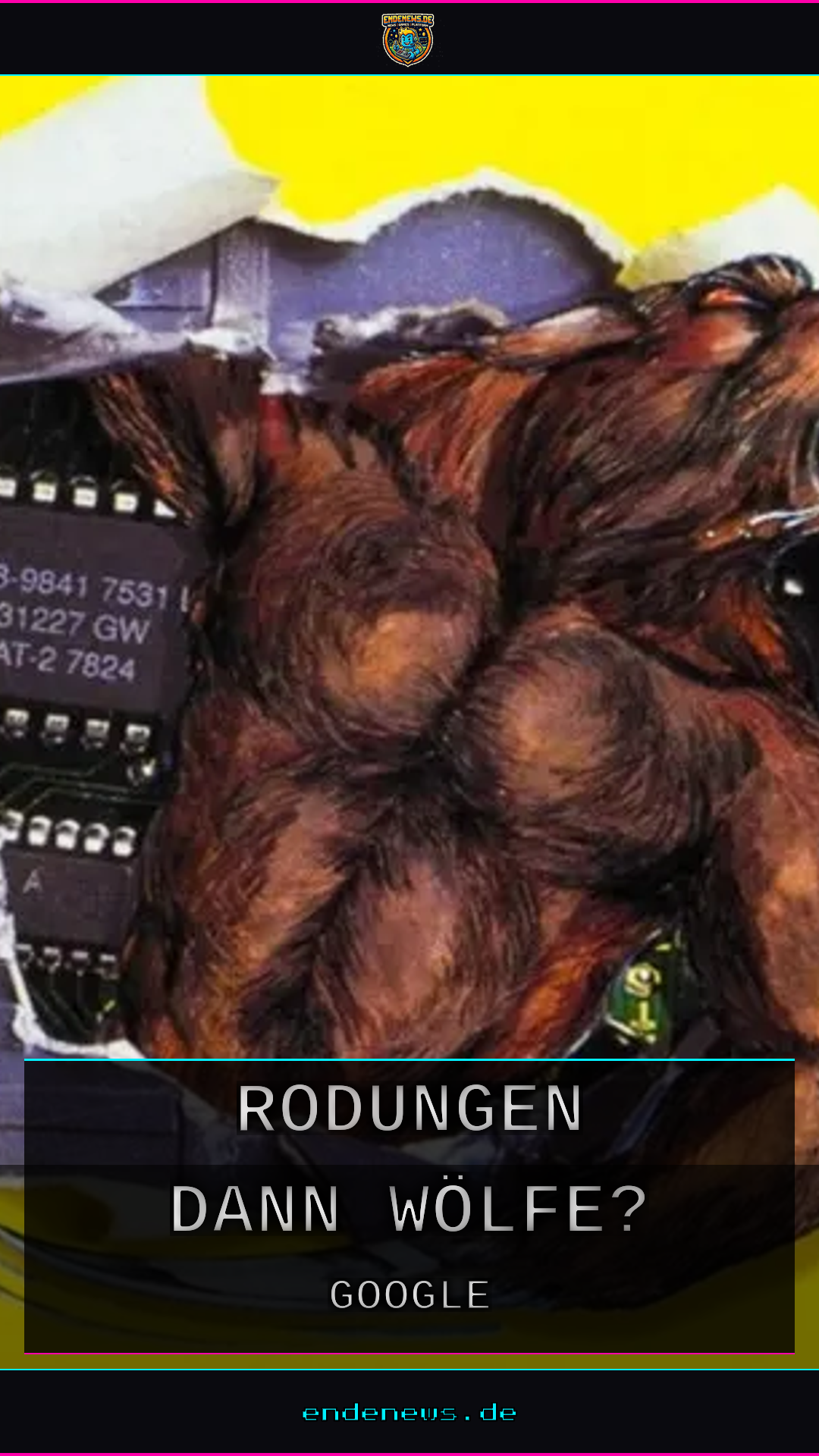 Google-Rechenzentren in Finnland: Rodungen, dann Wölfe?