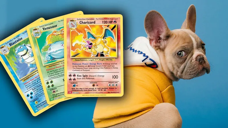 Hundezüchter bieten Welpen gegen Pokémon-Karten an