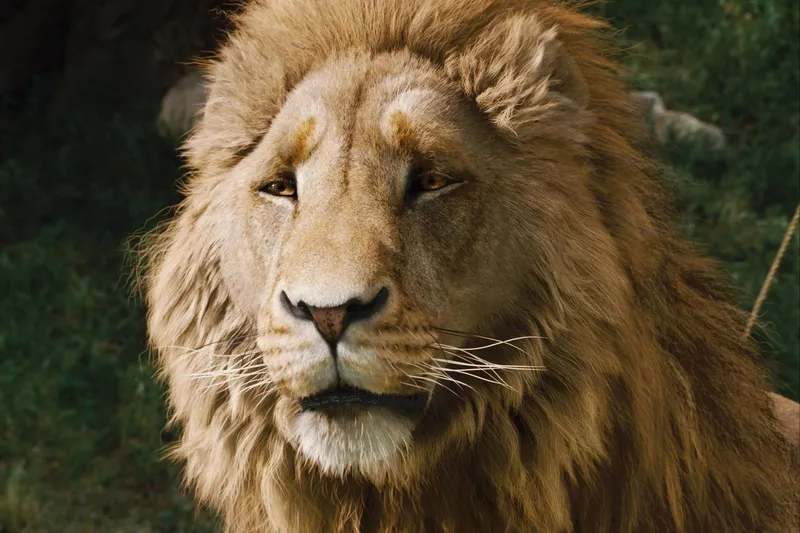 Netflix verschiebt Greta Gerwigs The Chronicles of Narnia auf 2027