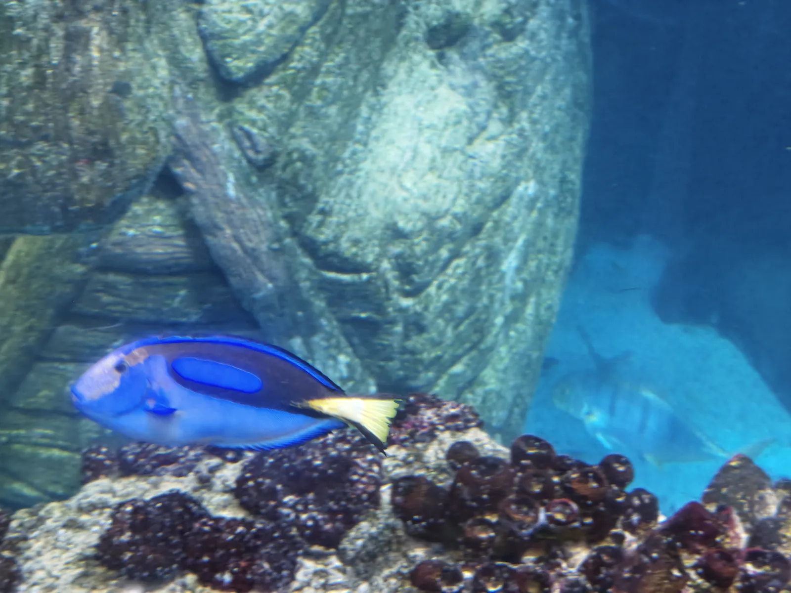 Wir waren im SEA LIFE München, und im Kopf lief die ganze Zeit Subnautica