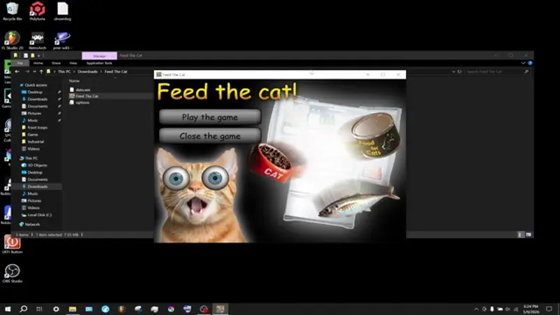 Twitch war gestern: Diese Seite lässt euch echte Katzen weltweit füttern