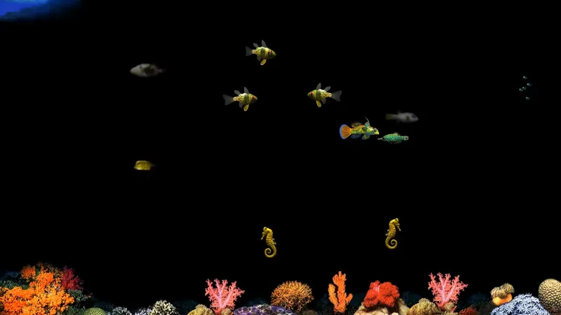 Windows-Fisch-Screensaver: Inspiration aus der Zahnarztpraxis