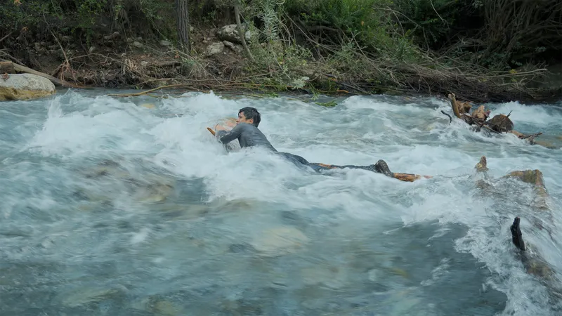 Wordless Forest: Wenn Fotorealismus zum gefährlichen Selbstversuch wird